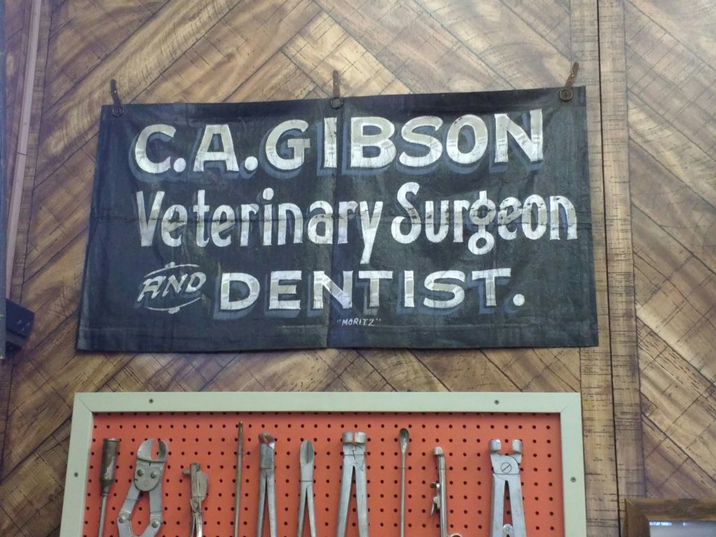 Vet and Dentist