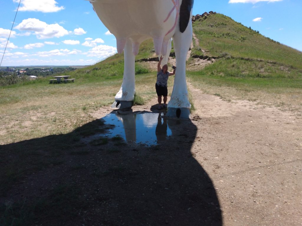 Under a big cow